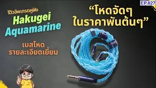 รีวิว Hakugei Aquamarine สายอัพเกรดหูฟังสุดโหด เบสหนัก ถัก8 ราคาพันต้นๆเท่านั้น