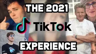 The 2021 TikTok Experience