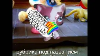 первая рубрика на канале !!!!