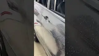En Studio Olivos, aplicamos PPF de @stekargentina sobre esta Tiguan!