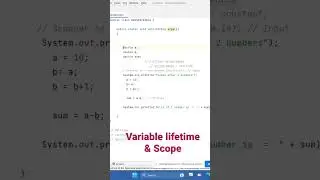 variable Lifetime and Scope     