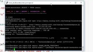 45 Activity Write Spark output into Cassandra