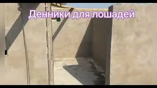 Денники для лошадей 2