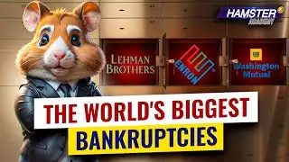 The fall of financial titans: top 3 catastrophic bankruptcies ⚡️ Hamster Academy
