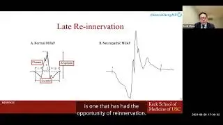 Role of Electrodiagnostic Testing in Spine Care