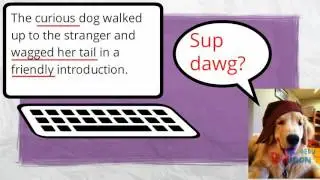 Connotation and Denotation