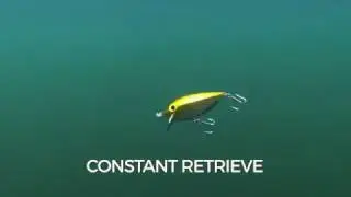 Swimming Action: Storm Thin Fin