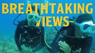 “Spectacular Underwater Views 🌊🐠 Dive Into Paradise”