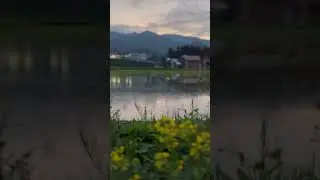 新潟後編今週もお疲れさまでした🫶こんなワンシーンに音楽をつけるとしたら、こんな音楽かなぁ🫶.#音楽のある生活#美しい世界#音楽家　#DailyLife#Beautifulscenary