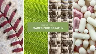 Macro Photography With ANY IPHONE | Mobile Phone Photography
