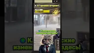 🌩️ В Германии штормит!