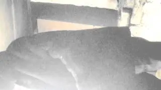 чё ты улыбаешься мун пизду накуй