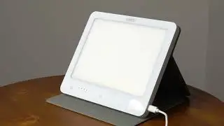 SANSI LED Light Therapy Lamp