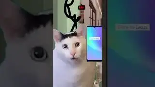 Мы просто с енотами готовим:медведя😀
