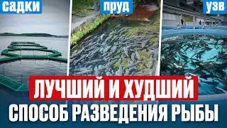 Anyone can make money doing this! How to grow fish in 2025 WITHOUT SMALL BUTT: A cheat sheet for ...