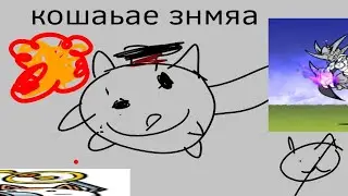 кошаче знмня