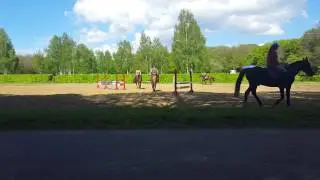 Коняшки