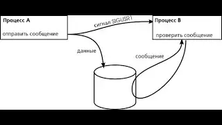 Синхронизация и сигналы SIGUSR1 и SIGUSR2. Programming C/Linux