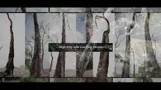 INSPIRACIÓN UE4 / SUPER REALISTIC TREE AND FOREST PACK - UNREAL ENGINE 4 by dviz