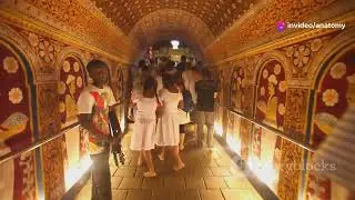 Five beautiful places to visit in Sri Lanka.