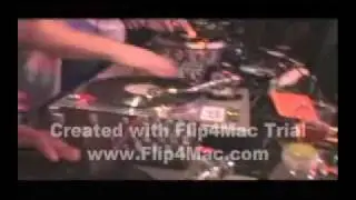 Elefaders in Seattle - BLOCtv