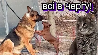 Бешкетники! Всі в чергу!😀