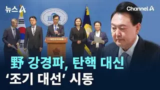 野 강경파, 탄핵 대신 ‘조기 대선’ 시동 / 채널A / 뉴스A