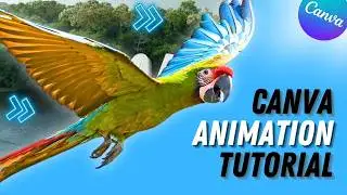 Canva Animation Tutorial: Create Stunning Animations with Swipe 👉 and Match ✨ Effects