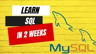 How I Learnt SQL in 2 weeks