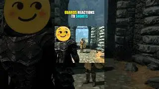 Guards Reactions to SHOUTS