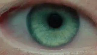 2049
