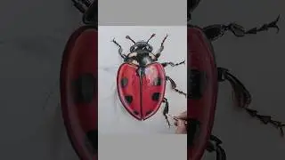 🔥🔥 Color Pencil Blending Technique 🐞🐞 #art #drawing #painting #colors #pencil #viral #shorts
