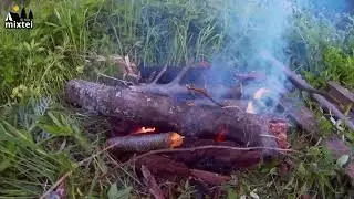 🌲шикарный поход в загадочный лес, bushcraft, пеший поход,  24 часа в лесу