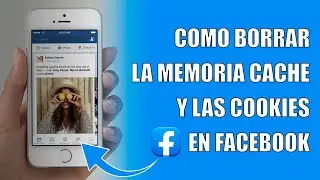 Como Borrar la Cache y las Cookies en Facebook