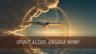 SPIRIT ALERT: ENGAGE NOW!