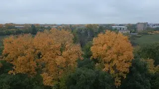 Осень в лесу - DJI Mini 3 Pro - D-Cinelike Free LUT