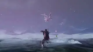 Malenia Boss Fight || NO HUD|| Sekiro Land Of Reeds Emptiness Mod || Sekiro New Mod