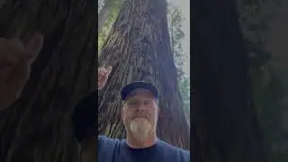 Redwood Park 6/24/22