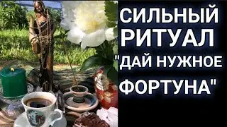 ДАЙ НУЖНОЕ, 