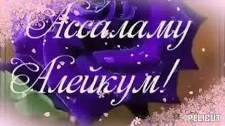 Пайғамбарға арна... Жігер Ауылбаев... Кайырлы Тан...