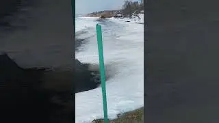 ВЕСЕННЕЕ ПРОБУЖДЕНИЕ В САМАРЕ #shorts