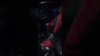 Spider-Man Fans, Sorry Not Sorry (Description)