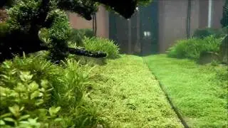 ,,Oland-scape,, in ian.2012 by Bitanu