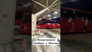 Как выглядят междугородние автобусы в Мексике от компании ADO? 