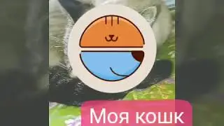 Моя кошка Пуся.