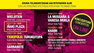 Iñaki Plaza | Artium Sala Plaza | Aitzina Folk