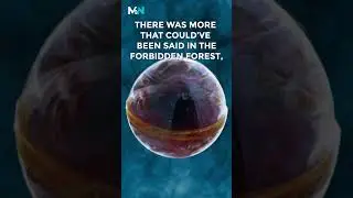 Trip down memory lane with Remembrall - First Year