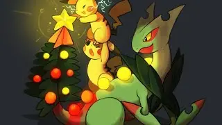La Pokeposta aspettando Natale, Spacchettamento/Unboxing ordini Pokemon