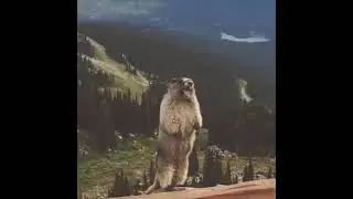 😂