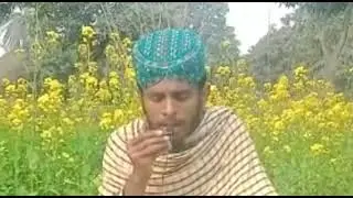 Beautiful Voice| Qari Zulfqar|FromBS Islamyat|Government Graduate College Muzffargarh